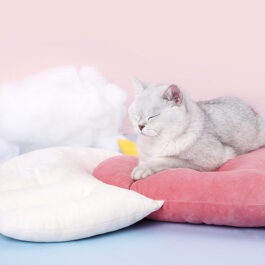 finefindmall-angel-wings-heart-shaped-pet-bed-03