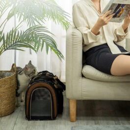 finefindmall-iris-foldable-pet-carrier-bag-05
